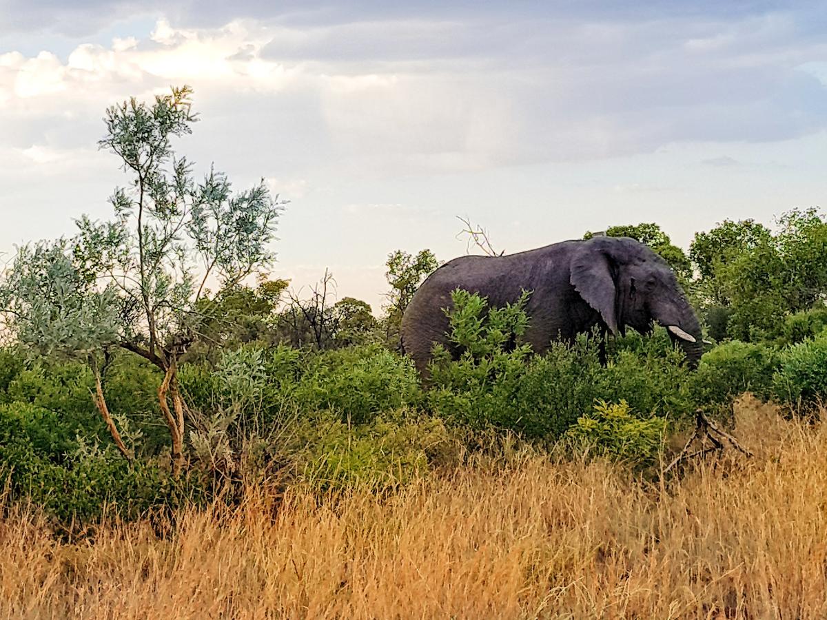 Ouklip Game Lodge Klipdrift Exterior foto
